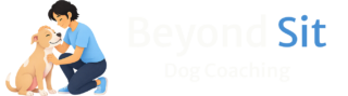 updated logo